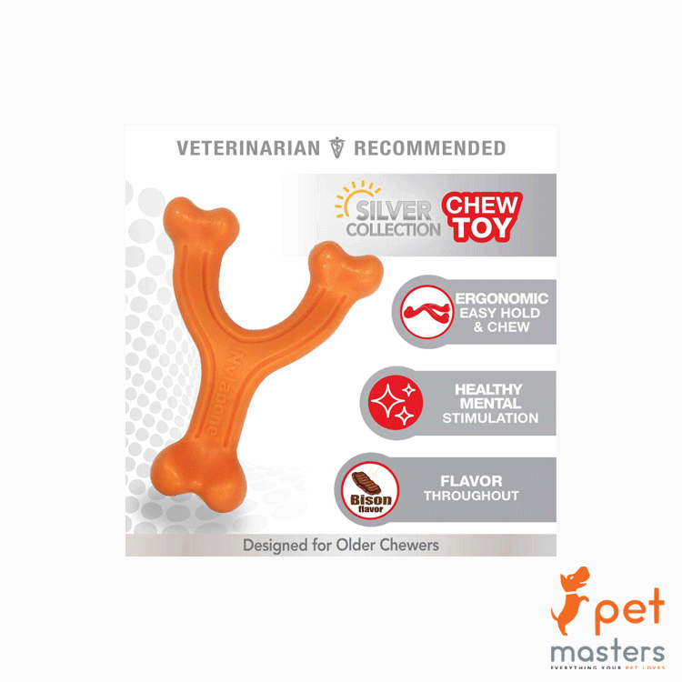 Nylabone Chew Wishbone For Senior Dogs